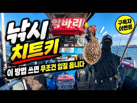 초보가 입질 받는 가장 쉬운 방법 ㅣ쭈꾸미낚시 필수 에기 색상 총정리 ㅣ 세네 구독자 이벤트 ㅣ구매항 악바리호