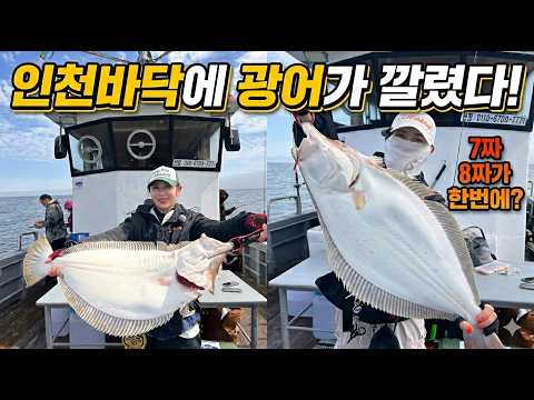 광어다운샷 이렇게 했더니 초보도 성공🔥ㅣ크레만 릴 이벤트 ㅣ 팔이 후들거려서 더는 못 잡겠어요ㅣ연안부두 바니호 🛥️